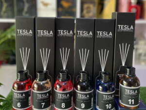 Tesla Reed Diffuser 100ml (Black Pack)