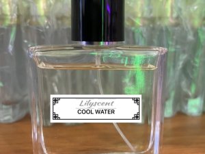 100ml Undiluted Perfume Oil - Cool Water