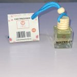 10ml Car Freshner - Mintrigue