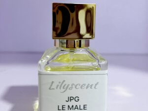 25ml Undiluted Perfume Oil – JPG Le Male