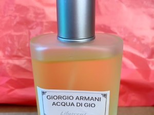 100ml Undiluted Perfume Oil – Aqua Di Gio
